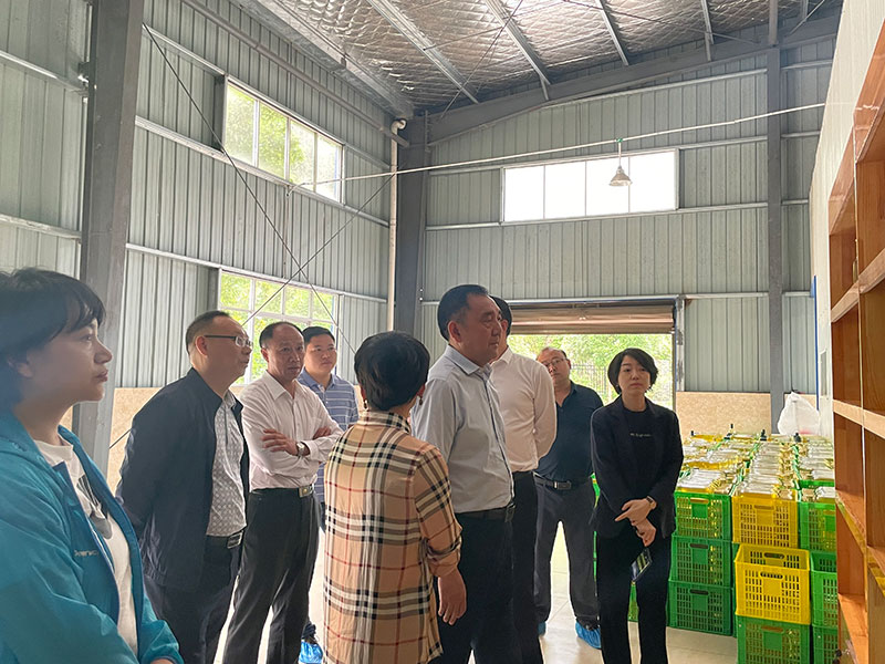 湖北省恩施州林業(yè)局局長鄧升志來我公司調(diào)研工作 湖北山茶油廠家