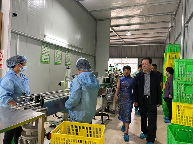 省人大常委副主任劉曉鳴率調(diào)研組前來(lái)我公司調(diào)研 湖北山茶油廠家