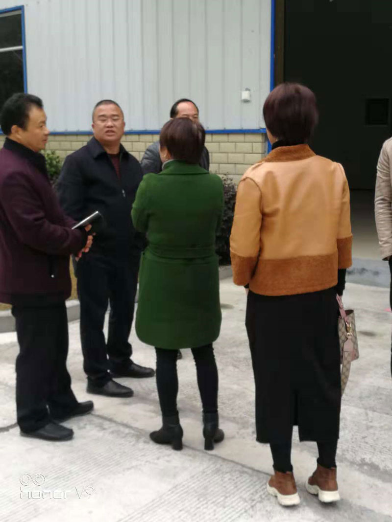 湖北有機(jī)山茶油