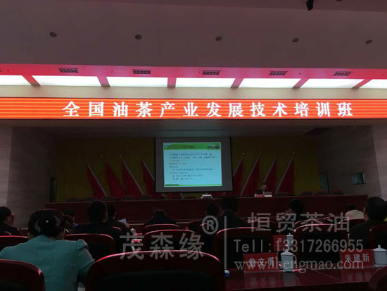 湖北有機山茶油