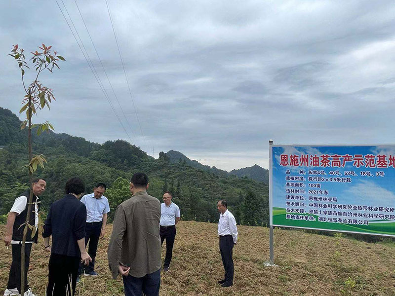 湖北省恩施州林業(yè)局局長鄧升志來我公司調(diào)研工作 湖北山茶油廠家