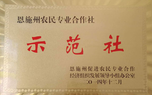 農民專用合作社示范社