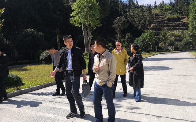 2019年10月16日副州長(zhǎng)黃瑾一行來公司調(diào)研