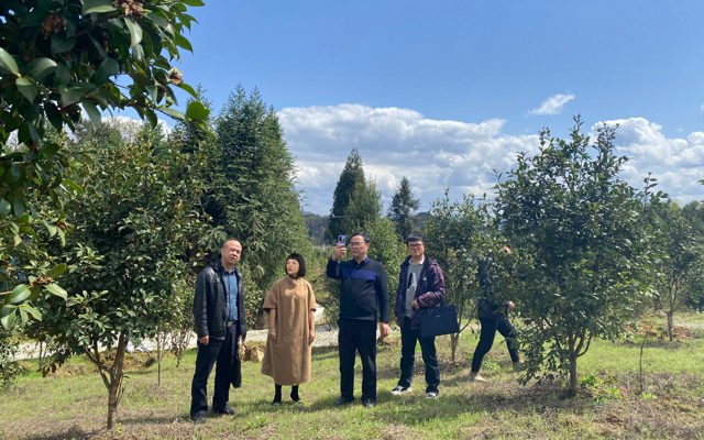 2023年3月30日州林業(yè)局領(lǐng)導視察