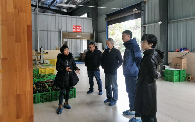 2021年12月28日中南民大教授、州發(fā)改委領(lǐng)導(dǎo)到廠里視察