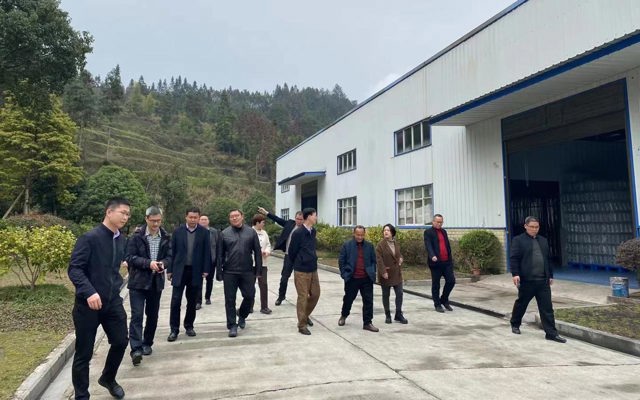 2023年3月7日省林業(yè)局黨組書記、局長王昌友一行到來鳳調(diào)研